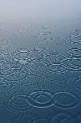  Wallpaper-  iPhone 4    iOS 5.1
